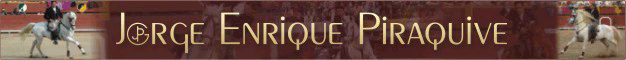 Web Page Jorge Enrique Piraquive
